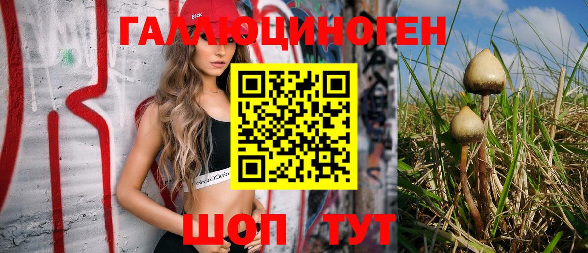 Псилоцибиновые грибы Magic Shrooms Луховицы